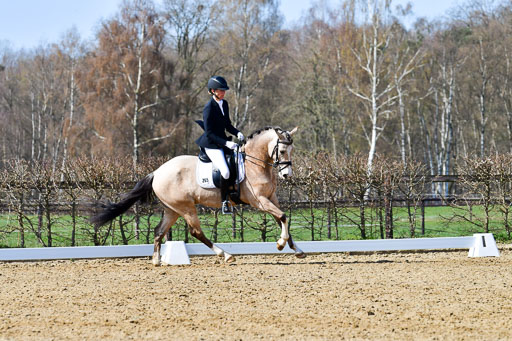 Reitsportzentrum Bremervörde | 160421 Dressurpf A_269 