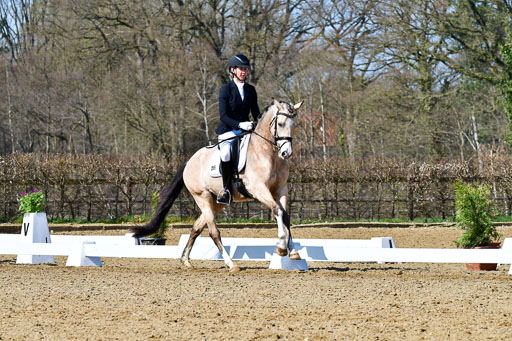 Reitsportzentrum Bremervörde | 160421 Dressurpf A_272 