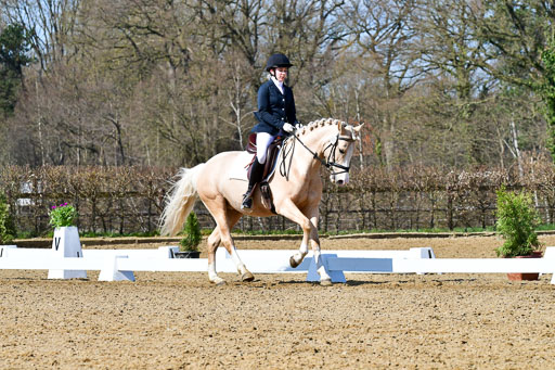 Reitsportzentrum Bremervörde | 160421 Dressurpf A_274 