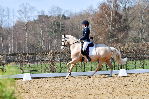 Reitsportzentrum Bremervörde | 160421 Dressurpf A_278 