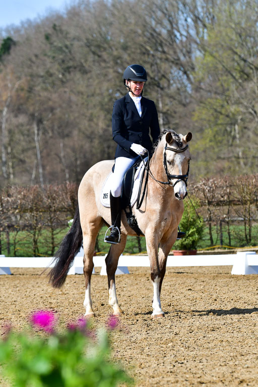 Reitsportzentrum Bremervörde | 160421 Dressurpf A_282 