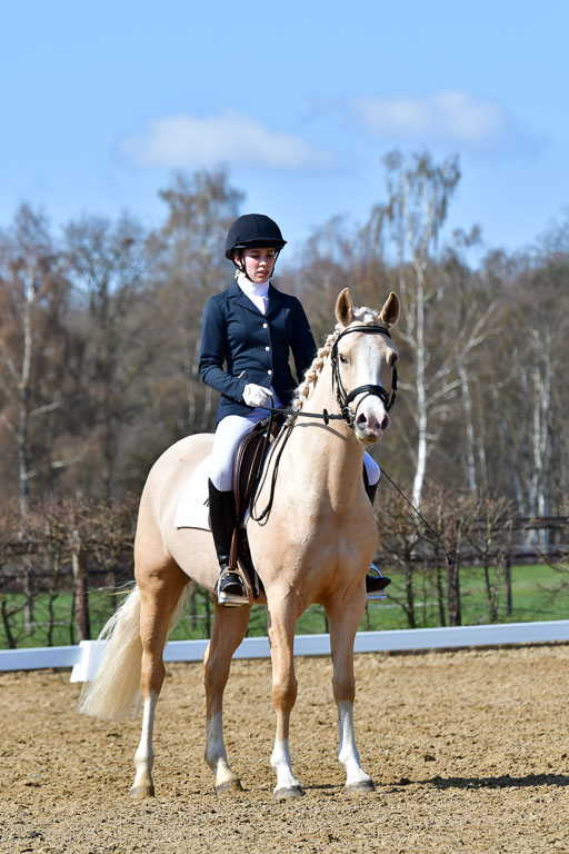 Reitsportzentrum Bremervörde | 160421 Dressurpf A_283 