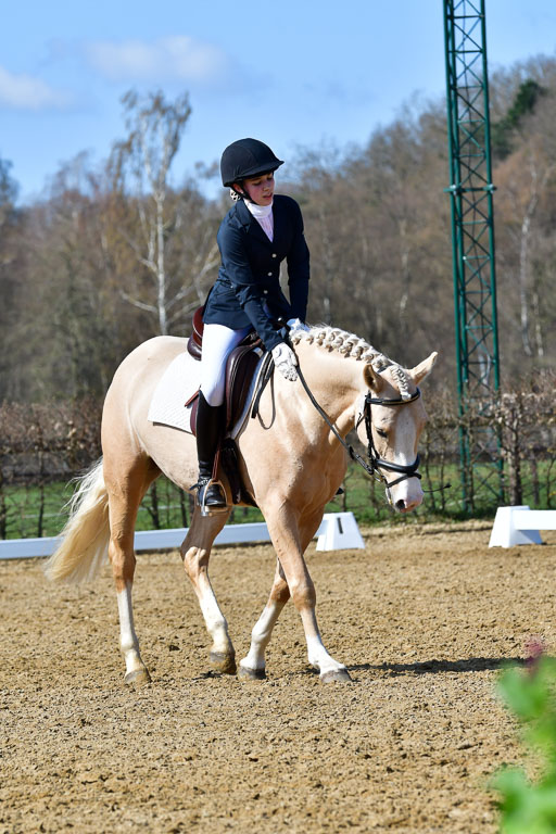 Reitsportzentrum Bremervörde | 160421 Dressurpf A_284 