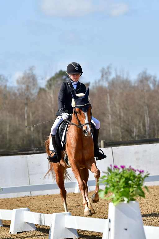 Reitsportzentrum Bremervörde | 160421 Dressurpf A_297 