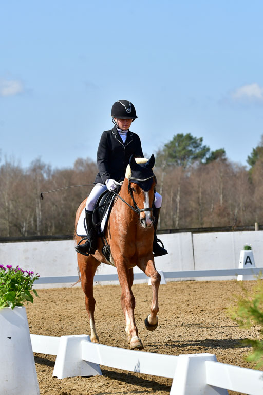 Reitsportzentrum Bremervörde | 160421 Dressurpf A_298 