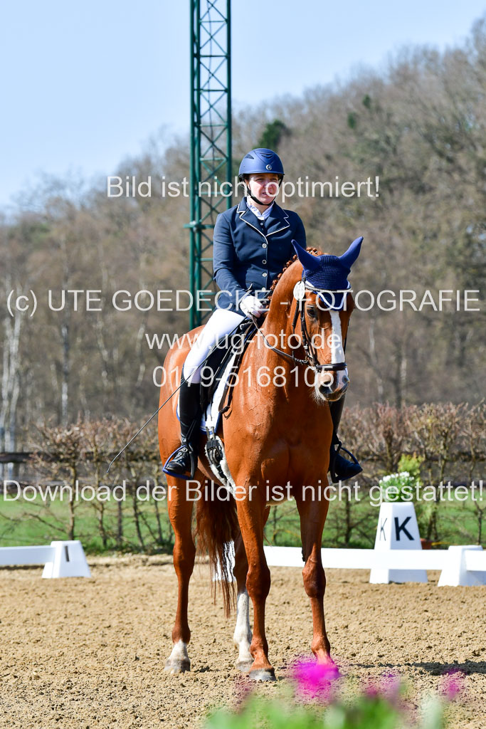 Reitsportzentrum Bremervörde | 160421Dressurpf L_001 