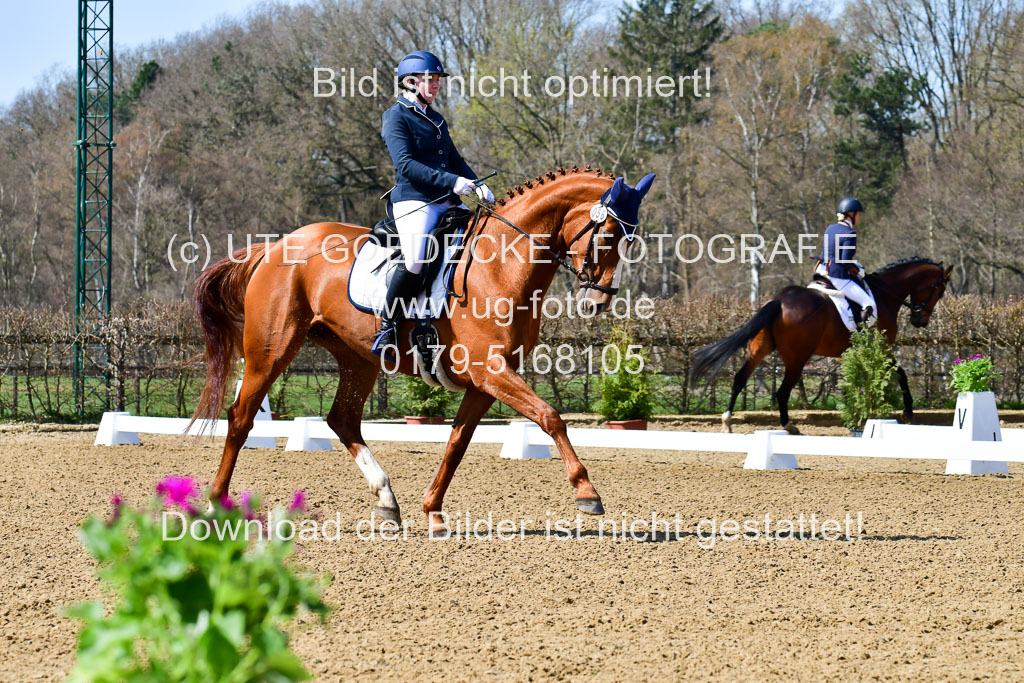 Reitsportzentrum Bremervörde | 160421Dressurpf L_004 