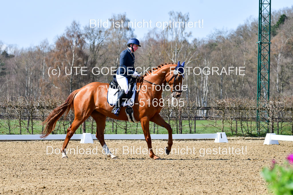 Reitsportzentrum Bremervörde | 160421Dressurpf L_011