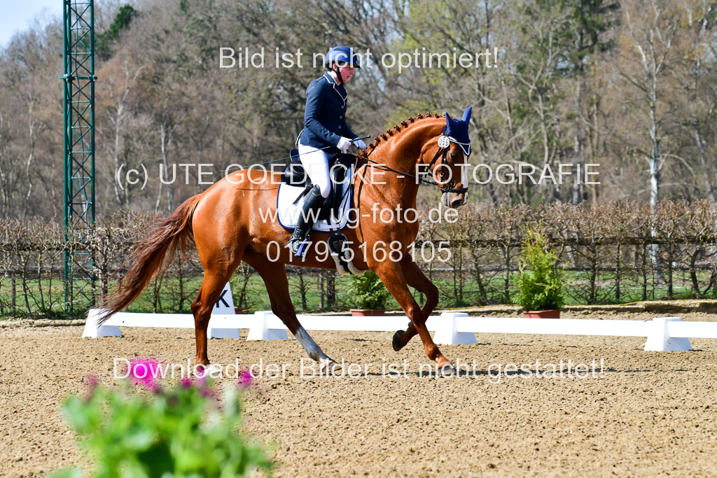 Reitsportzentrum Bremervörde | 160421Dressurpf L_012