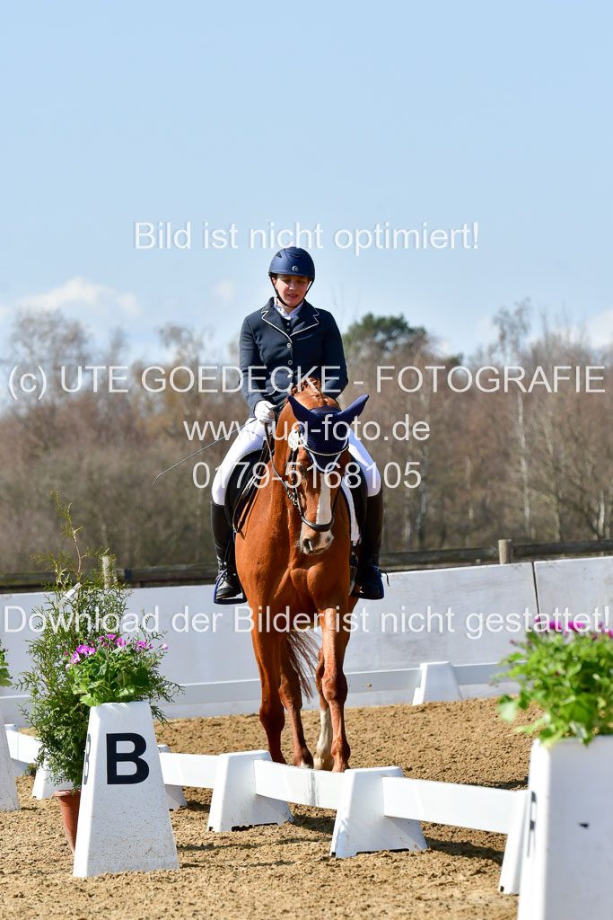 Reitsportzentrum Bremervörde | 160421Dressurpf L_013