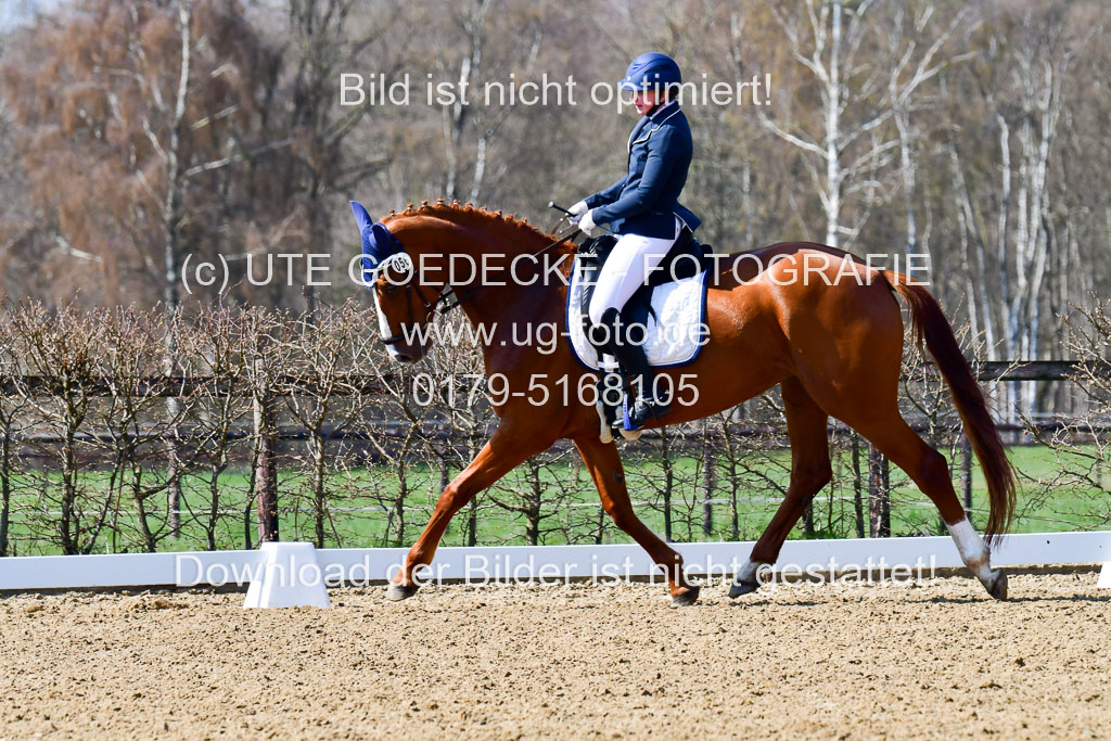 Reitsportzentrum Bremervörde | 160421Dressurpf L_014 