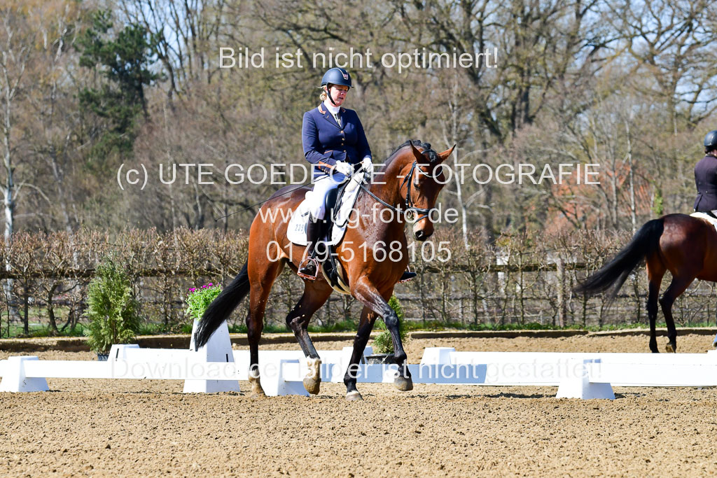 Reitsportzentrum Bremervörde | 160421Dressurpf L_018 