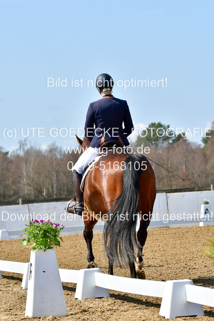 Reitsportzentrum Bremervörde | 160421Dressurpf L_019 