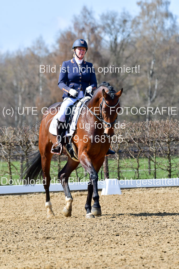 Reitsportzentrum Bremervörde | 160421Dressurpf L_022