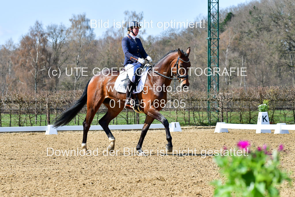 Reitsportzentrum Bremervörde | 160421Dressurpf L_027