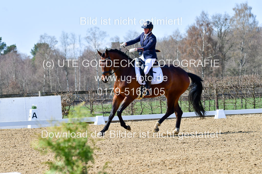 Reitsportzentrum Bremervörde | 160421Dressurpf L_036 