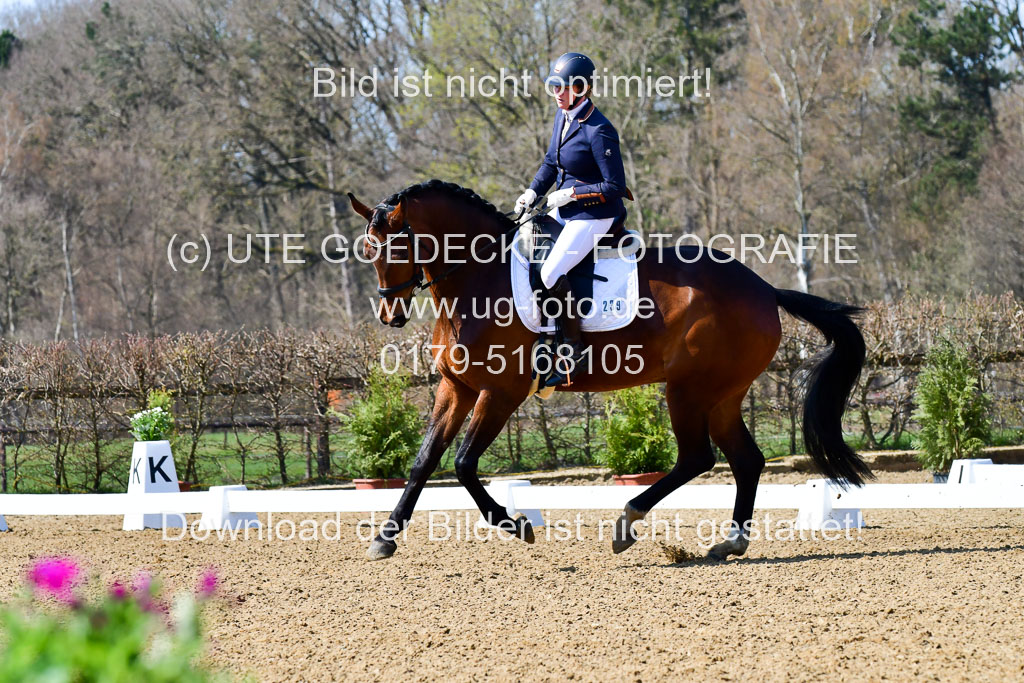 Reitsportzentrum Bremervörde | 160421Dressurpf L_037
