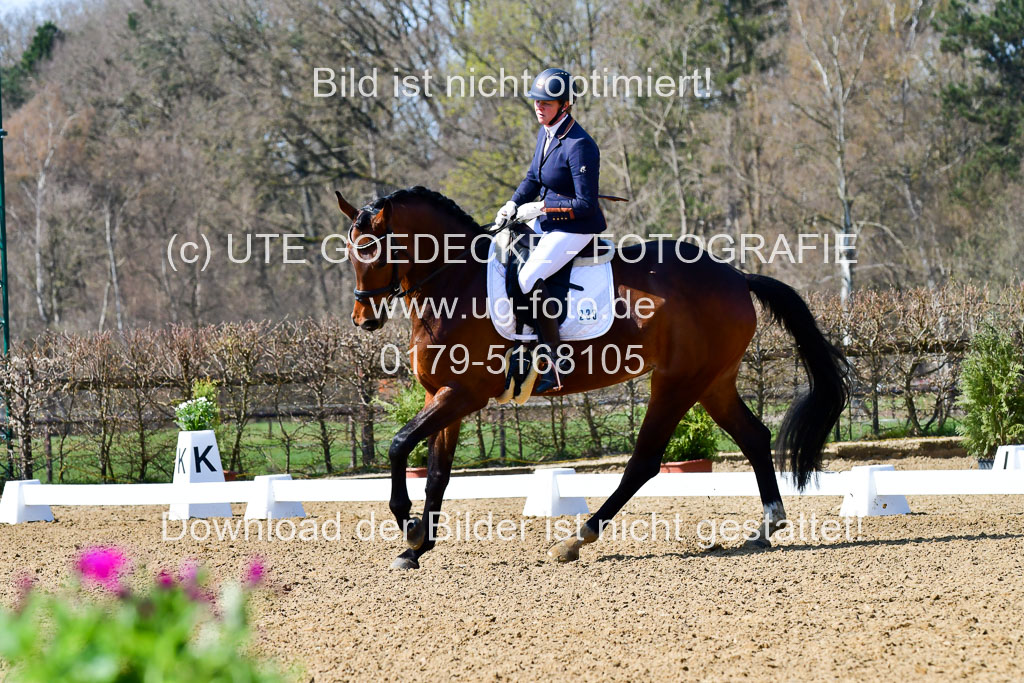 Reitsportzentrum Bremervörde | 160421Dressurpf L_038 