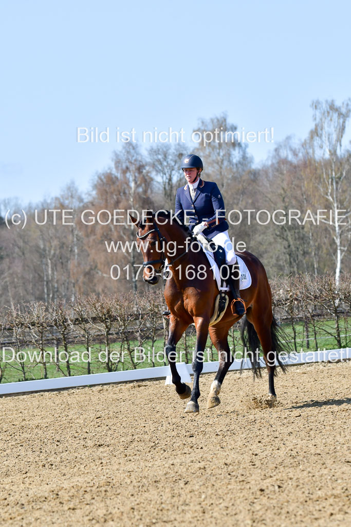 Reitsportzentrum Bremervörde | 160421Dressurpf L_039