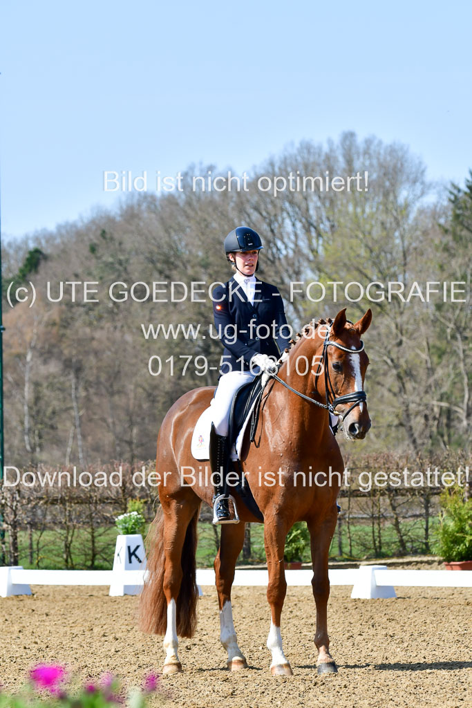 Reitsportzentrum Bremervörde | 160421Dressurpf L_044