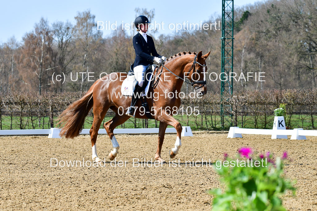 Reitsportzentrum Bremervörde | 160421Dressurpf L_045 