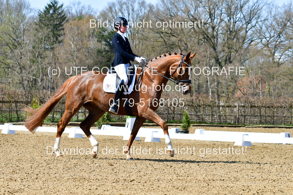 Reitsportzentrum Bremervörde | 160421Dressurpf L_047