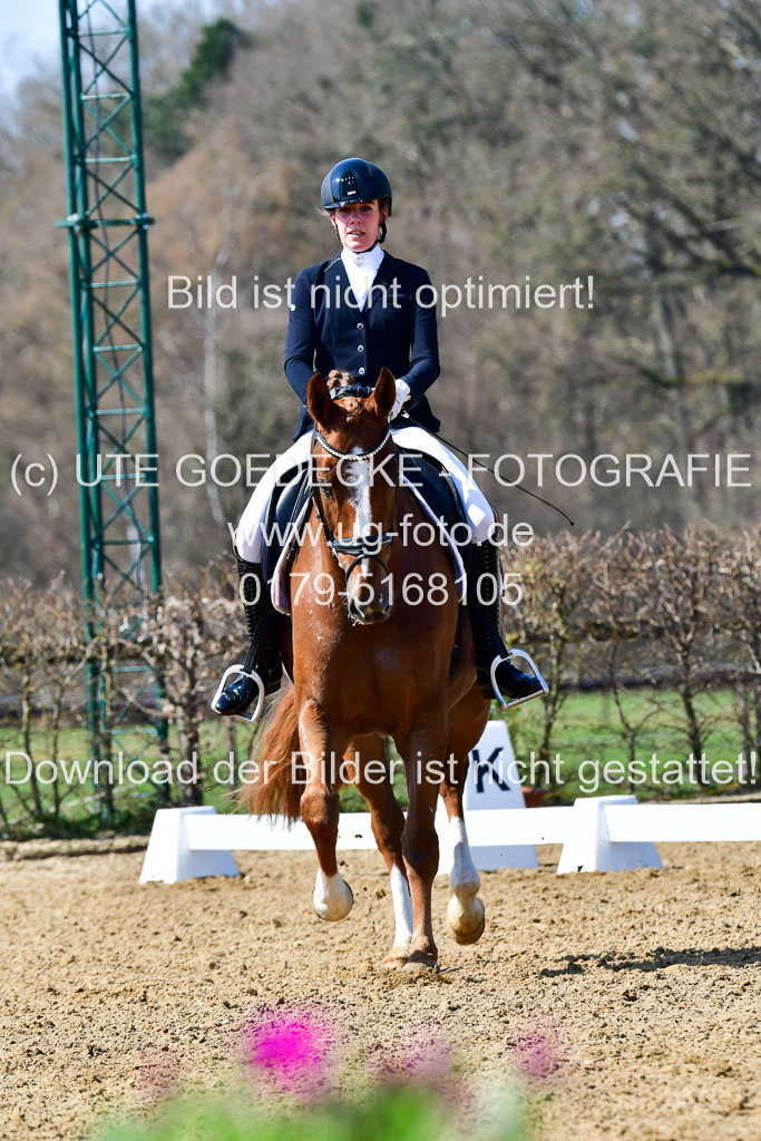 Reitsportzentrum Bremervörde | 160421Dressurpf L_048 