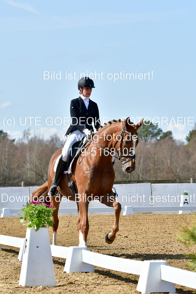 Reitsportzentrum Bremervörde | 160421Dressurpf L_049