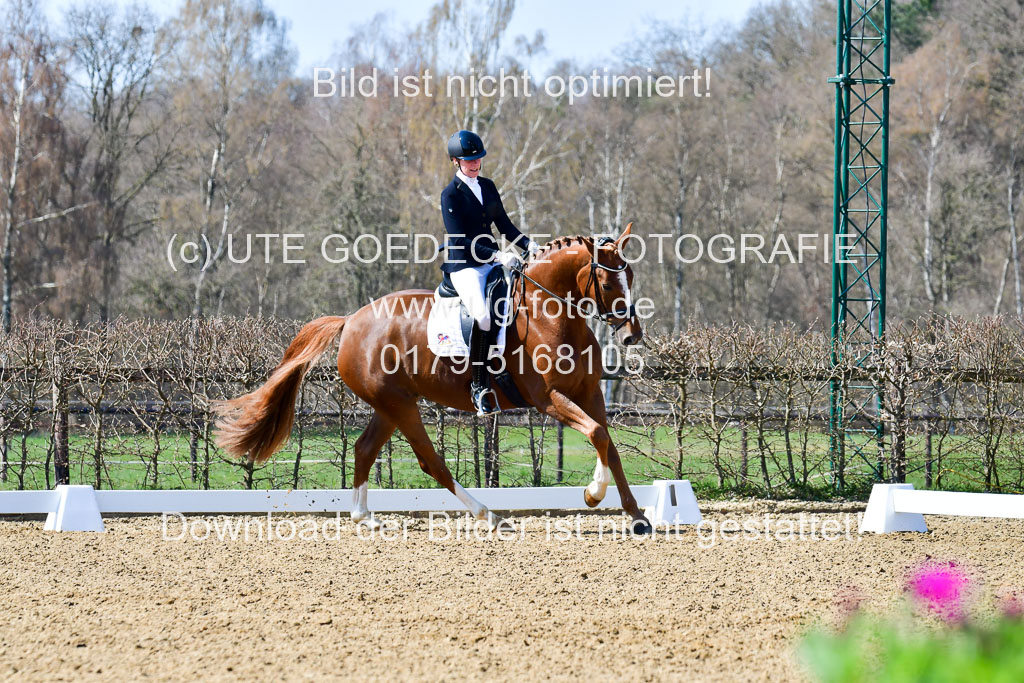 Reitsportzentrum Bremervörde | 160421Dressurpf L_050 