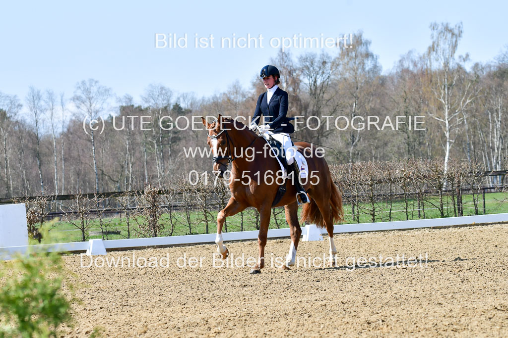 Reitsportzentrum Bremervörde | 160421Dressurpf L_051