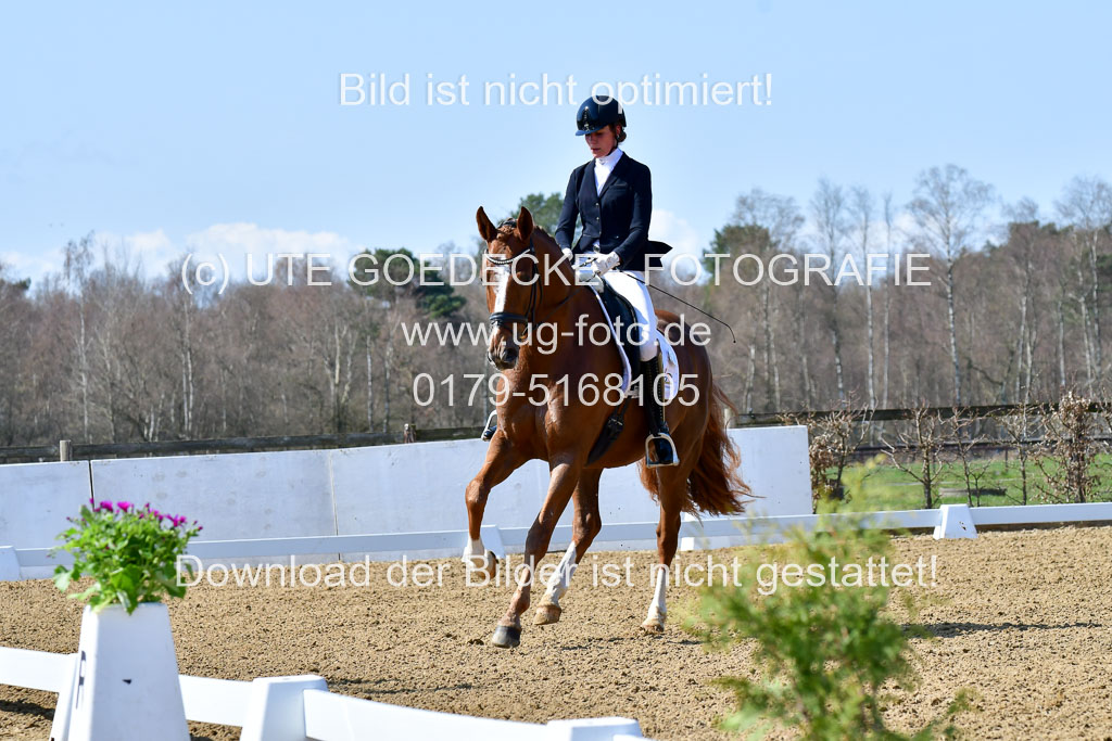 Reitsportzentrum Bremervörde | 160421Dressurpf L_052 