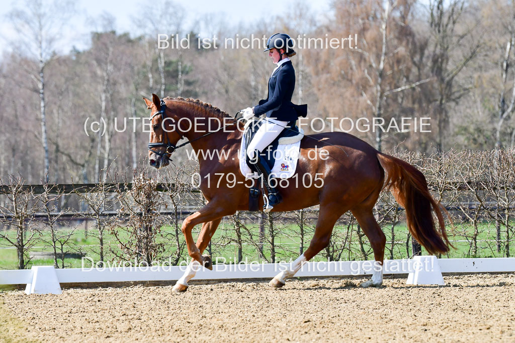 Reitsportzentrum Bremervörde | 160421Dressurpf L_053 