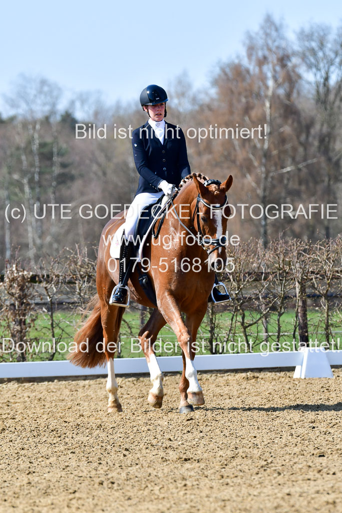 Reitsportzentrum Bremervörde | 160421Dressurpf L_058