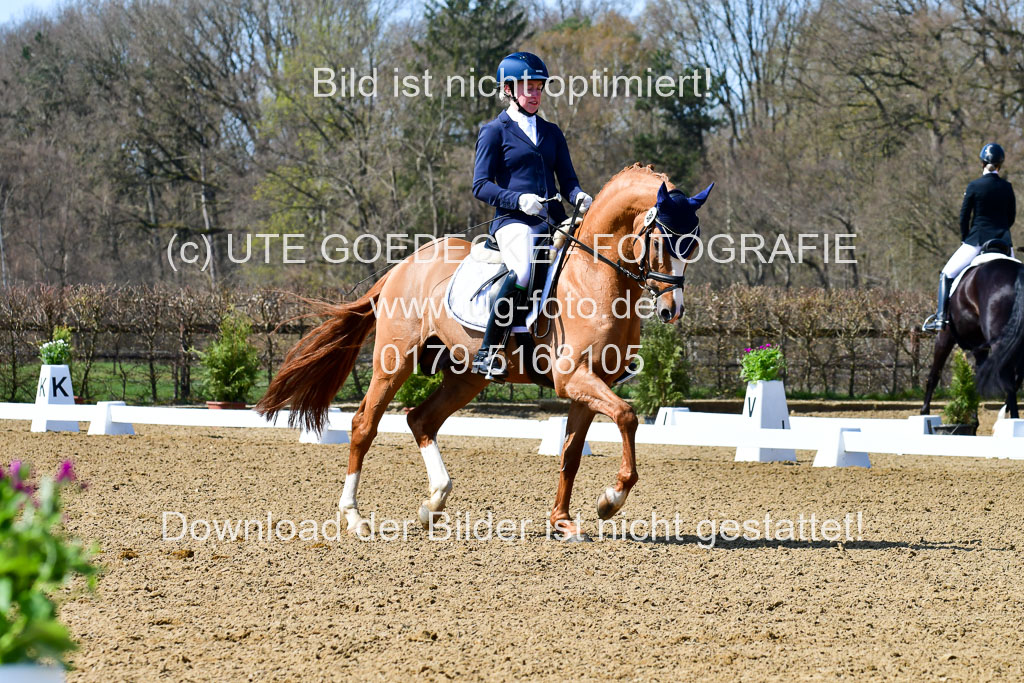 Reitsportzentrum Bremervörde | 160421Dressurpf L_064 