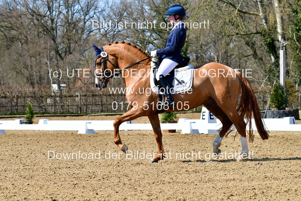 Reitsportzentrum Bremervörde | 160421Dressurpf L_065