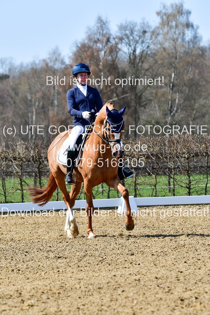 Reitsportzentrum Bremervörde | 160421Dressurpf L_066