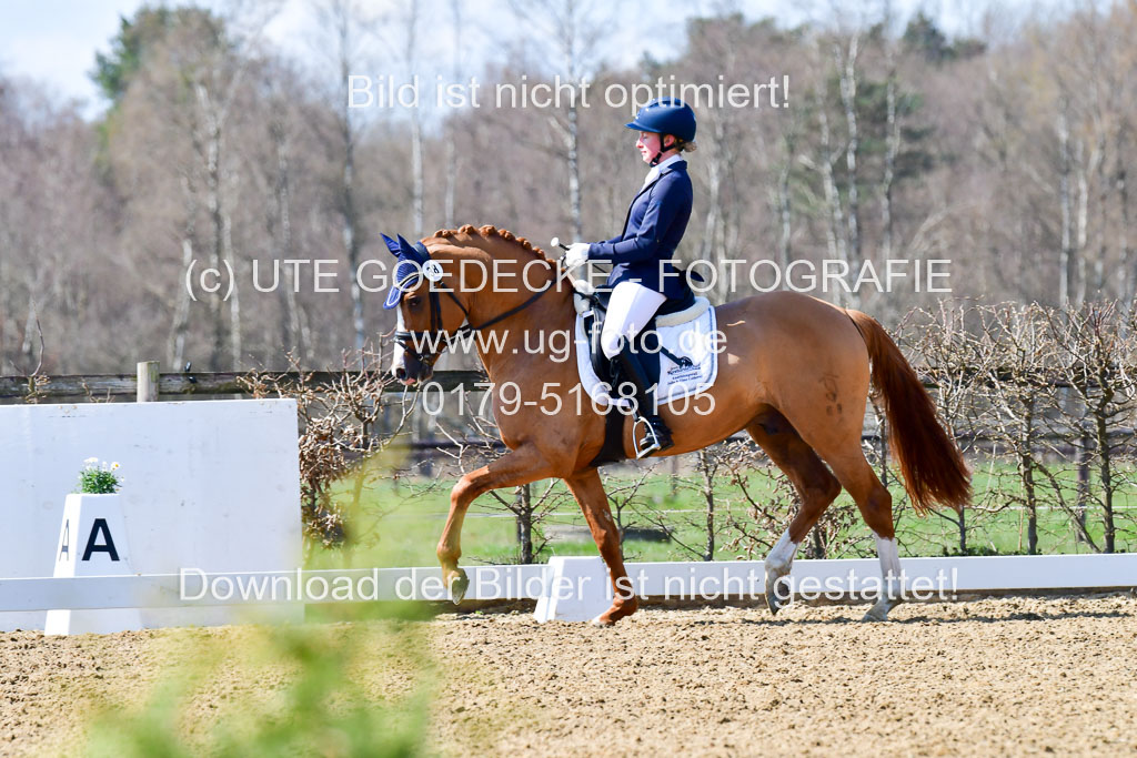 Reitsportzentrum Bremervörde | 160421Dressurpf L_072 