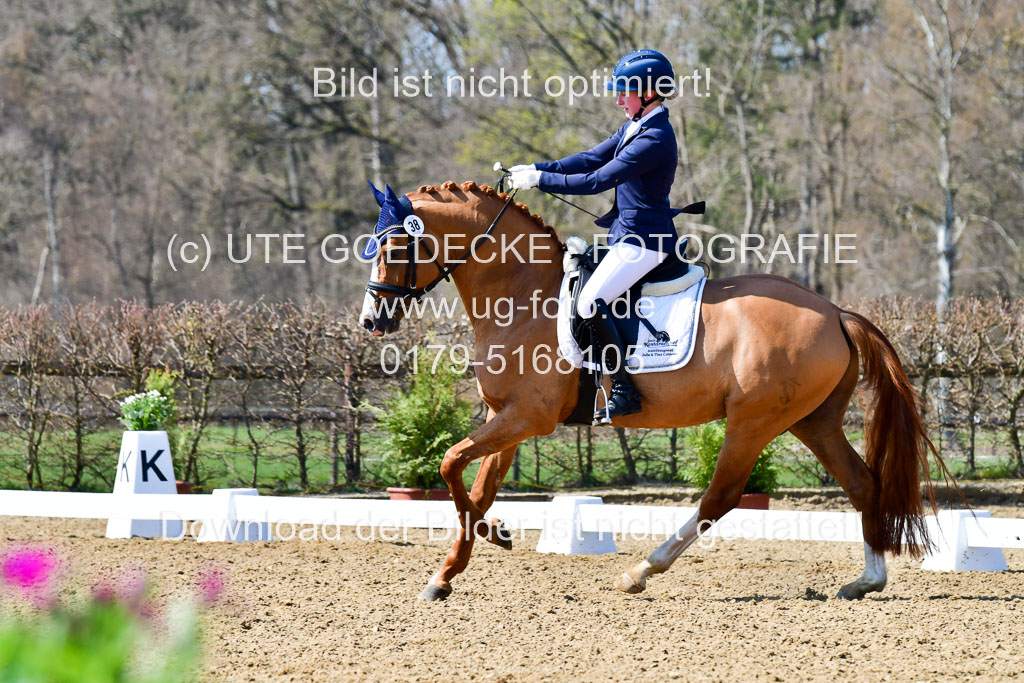 Reitsportzentrum Bremervörde | 160421Dressurpf L_078