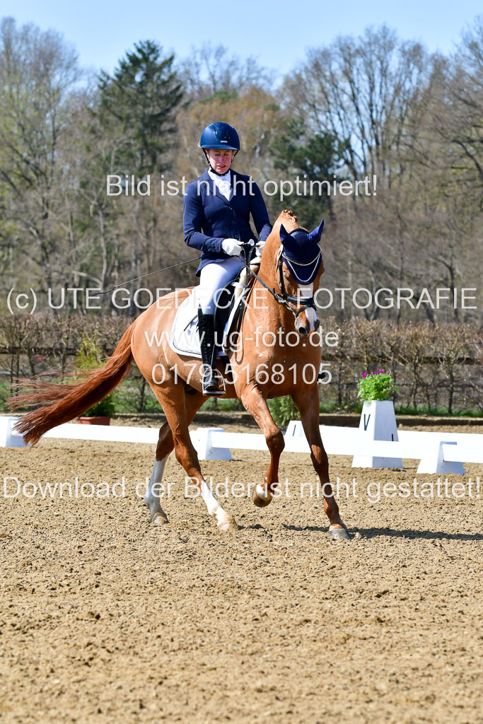 Reitsportzentrum Bremervörde | 160421Dressurpf L_081 