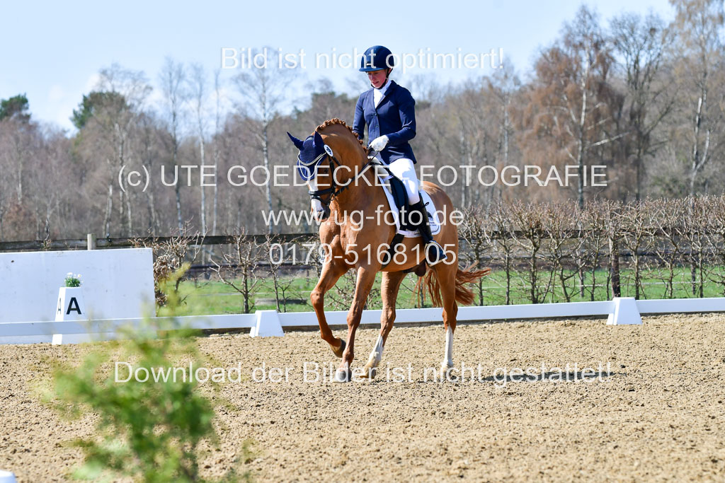 Reitsportzentrum Bremervörde | 160421Dressurpf L_083