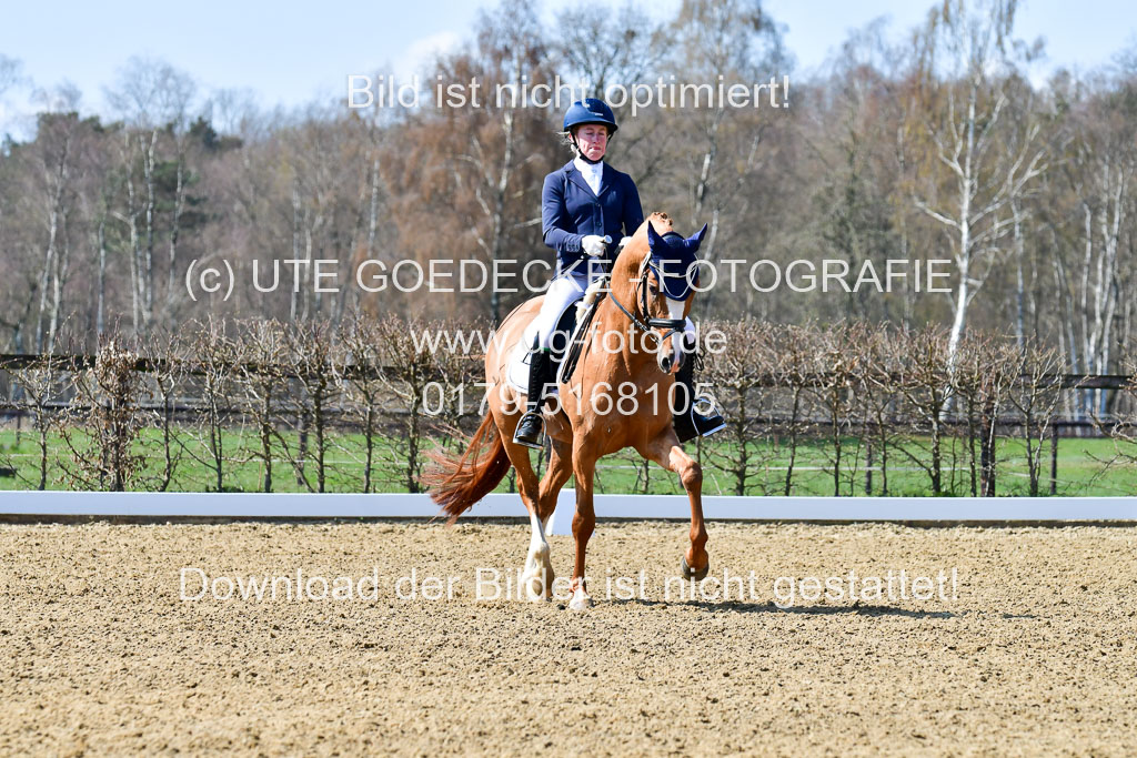 Reitsportzentrum Bremervörde | 160421Dressurpf L_087 