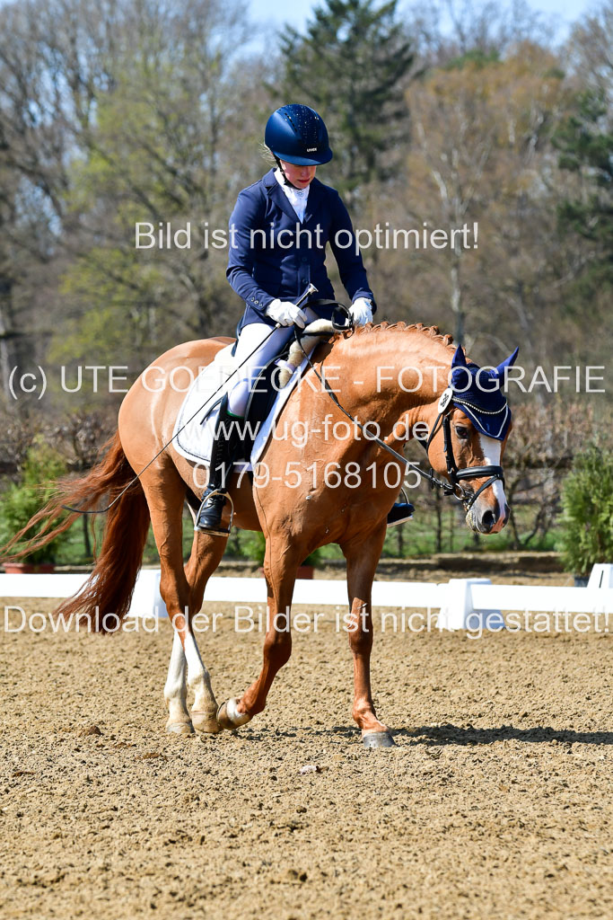 Reitsportzentrum Bremervörde | 160421Dressurpf L_089