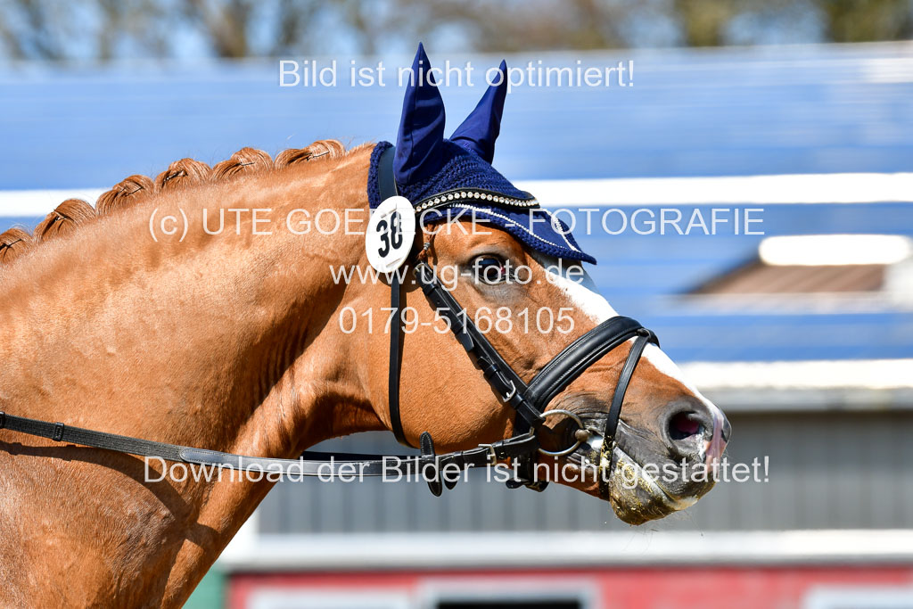 Reitsportzentrum Bremervörde | 160421Dressurpf L_092 