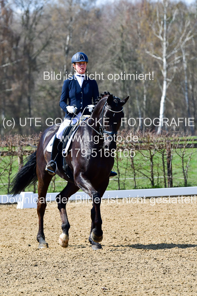 Reitsportzentrum Bremervörde | 160421Dressurpf L_094 