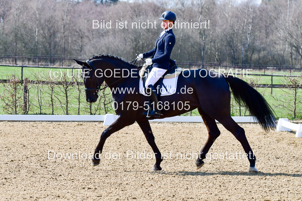 Reitsportzentrum Bremervörde | 160421Dressurpf L_097 