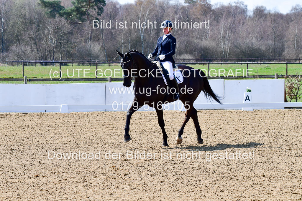 Reitsportzentrum Bremervörde | 160421Dressurpf L_099 