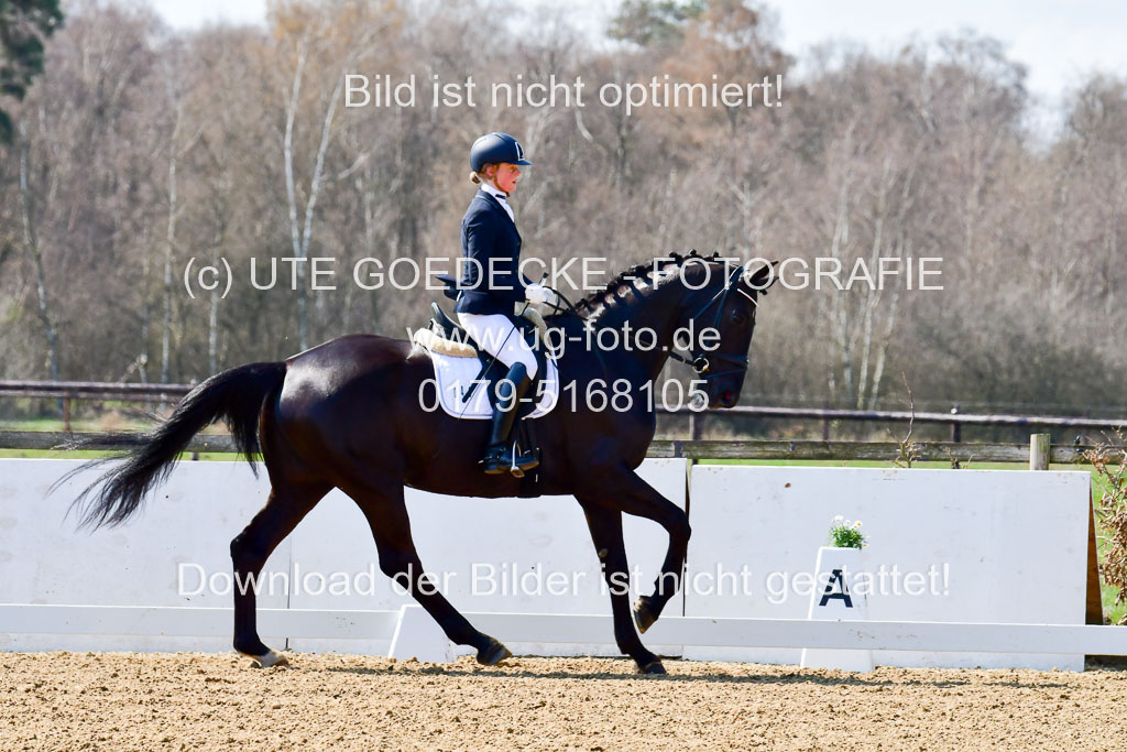 Reitsportzentrum Bremervörde | 160421Dressurpf L_100