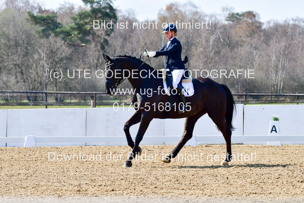 Reitsportzentrum Bremervörde | 160421Dressurpf L_102 