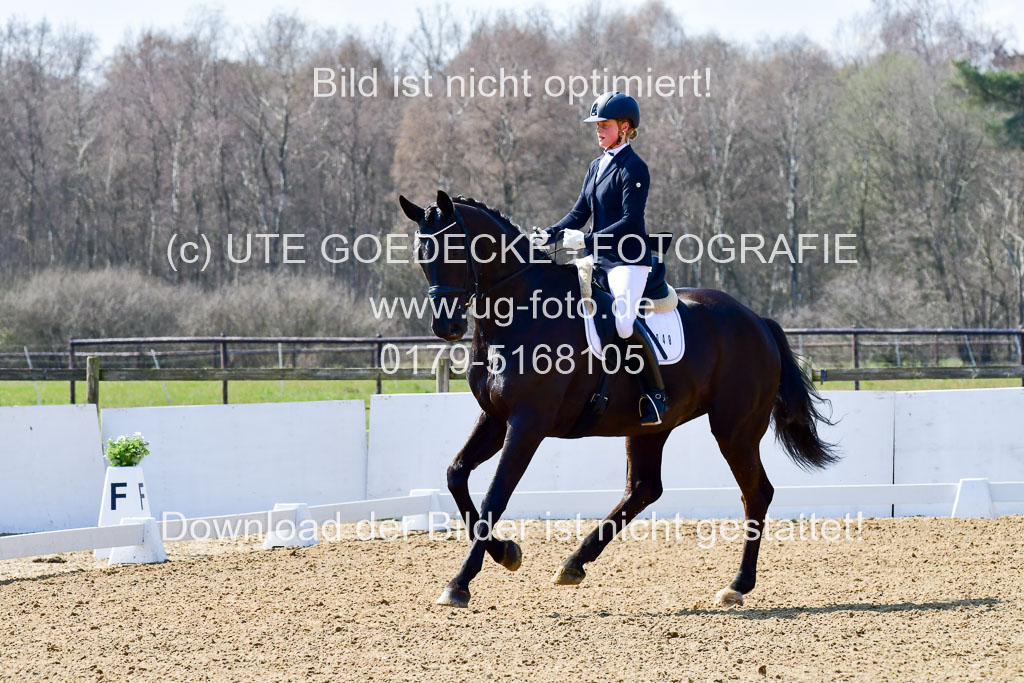 Reitsportzentrum Bremervörde | 160421Dressurpf L_103 