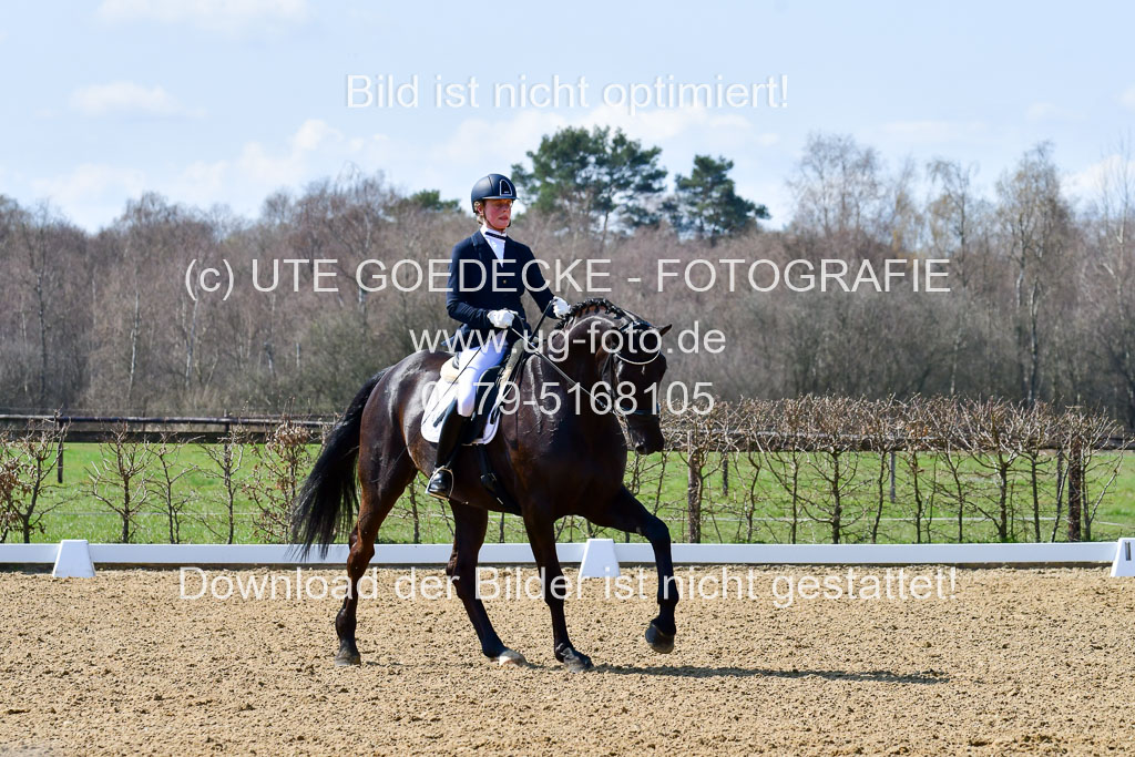 Reitsportzentrum Bremervörde | 160421Dressurpf L_104